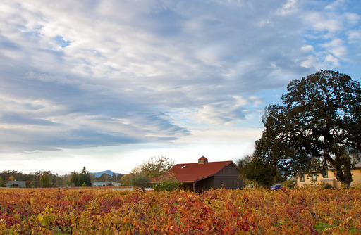 Autumn Barn, Sonoma County